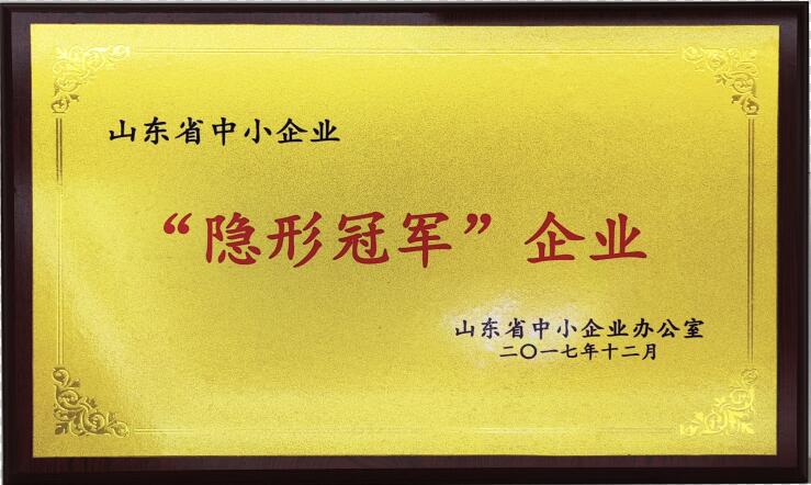 山東省隱形冠軍企業